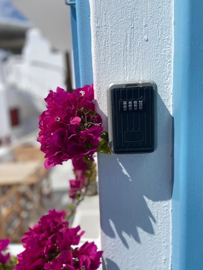 Elenitas Studio In Mykonos Town Bagian luar foto